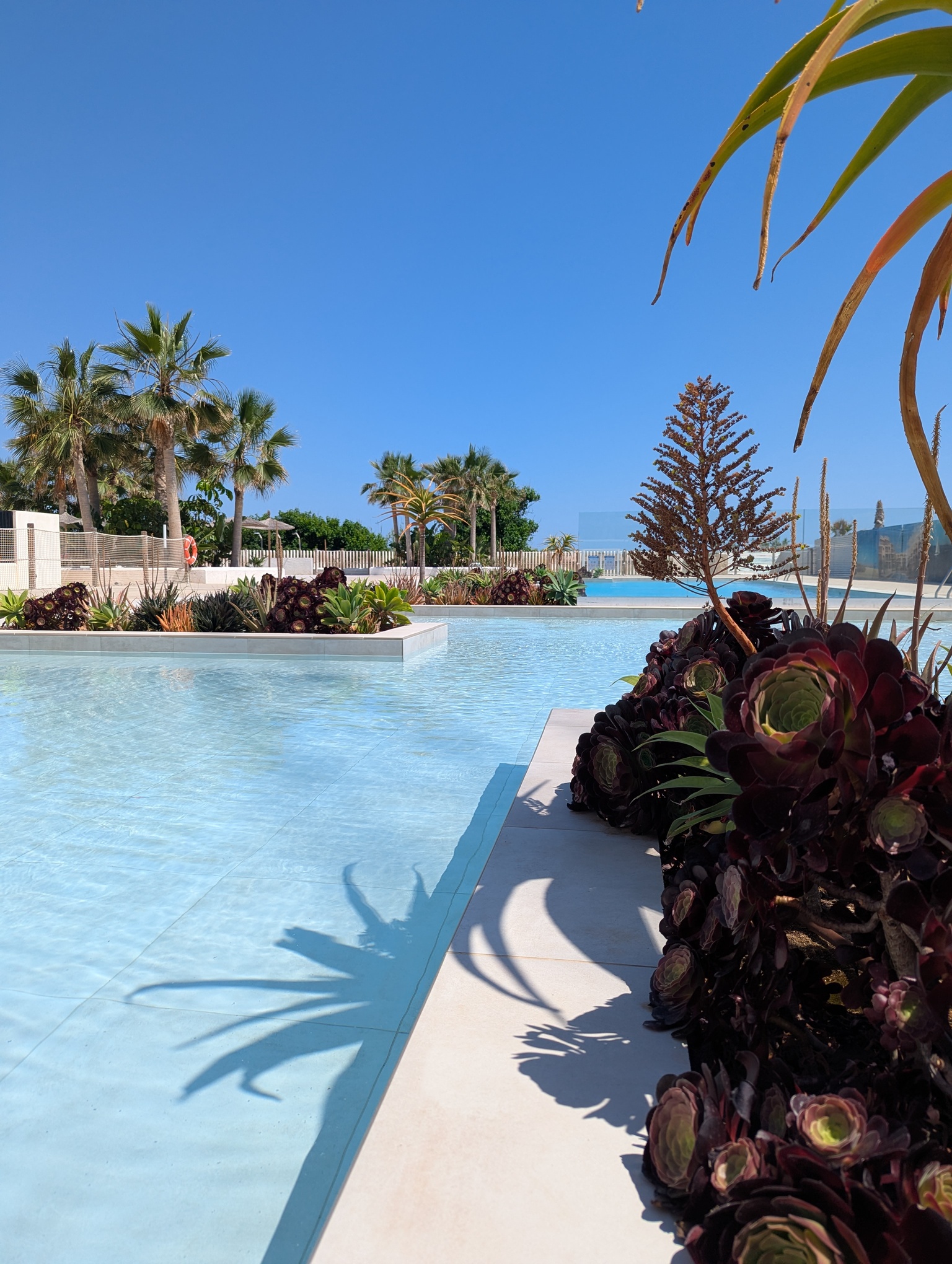 Pisos-Venta-DÃ©nia-2112728-Foto-36