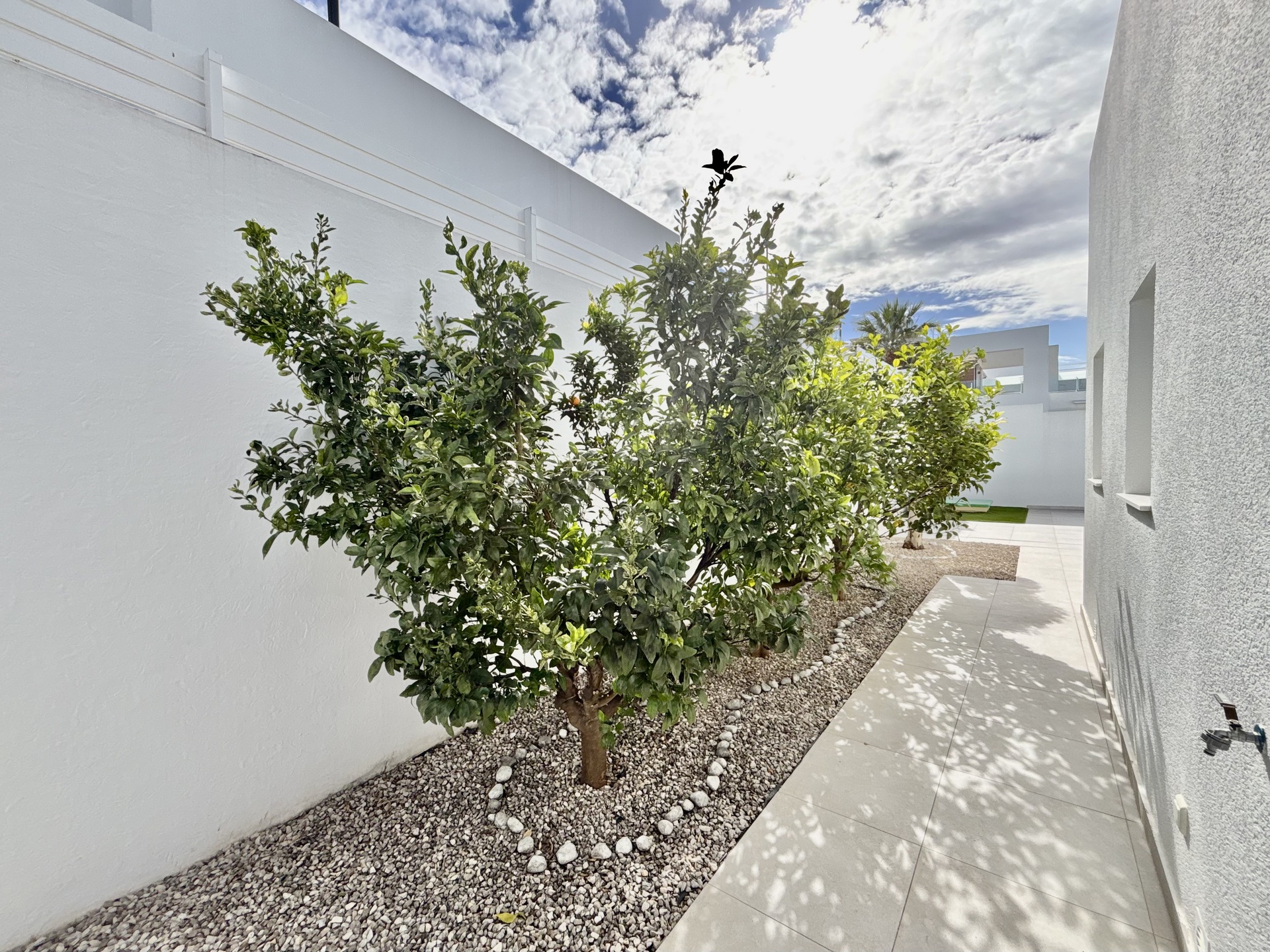 Casas o chalets-Venta-BenijÃ³far-2112731-Foto-9