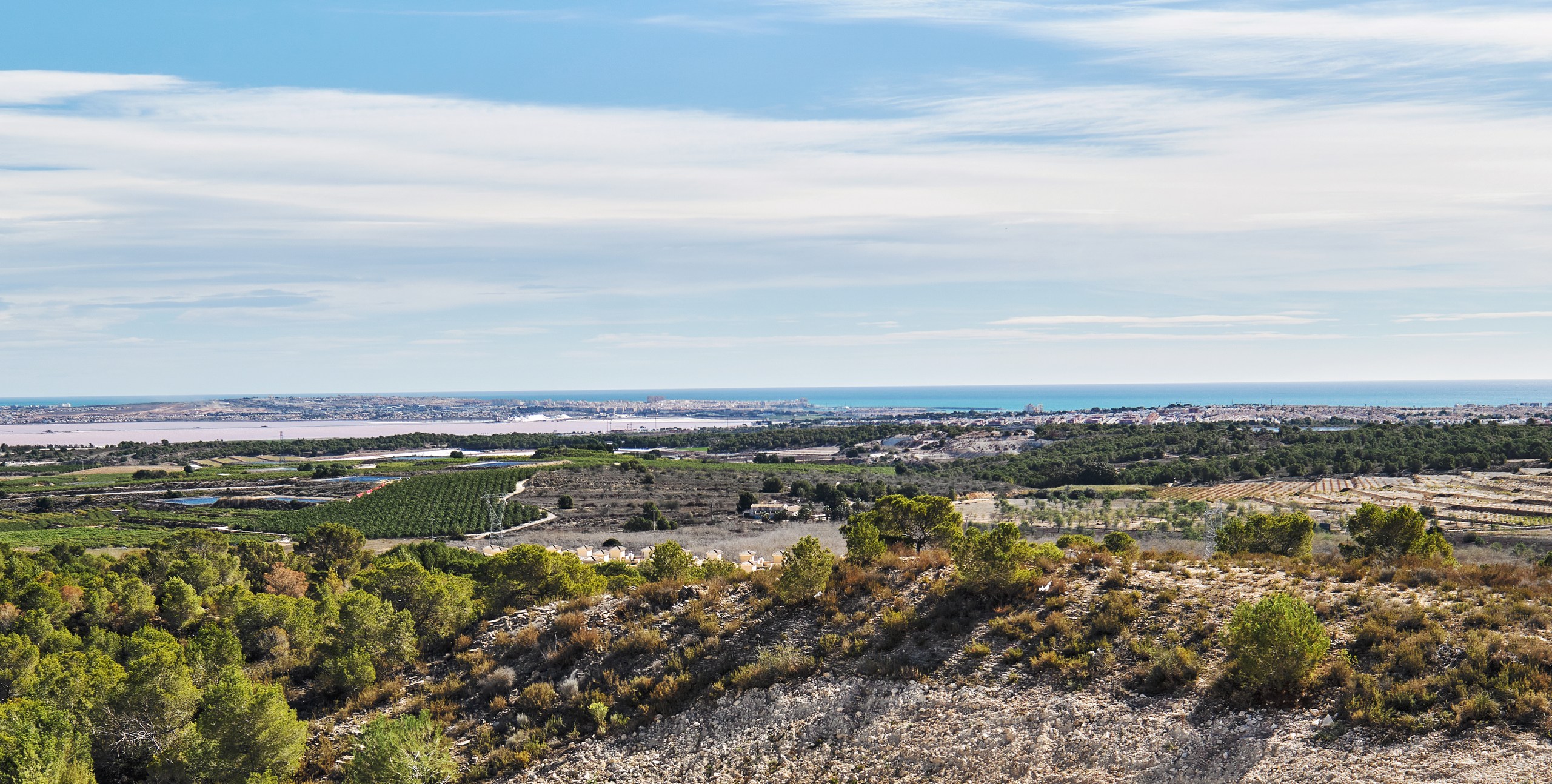 Casas o chalets-Venta-San Miguel de Salinas-2112497-Foto-8