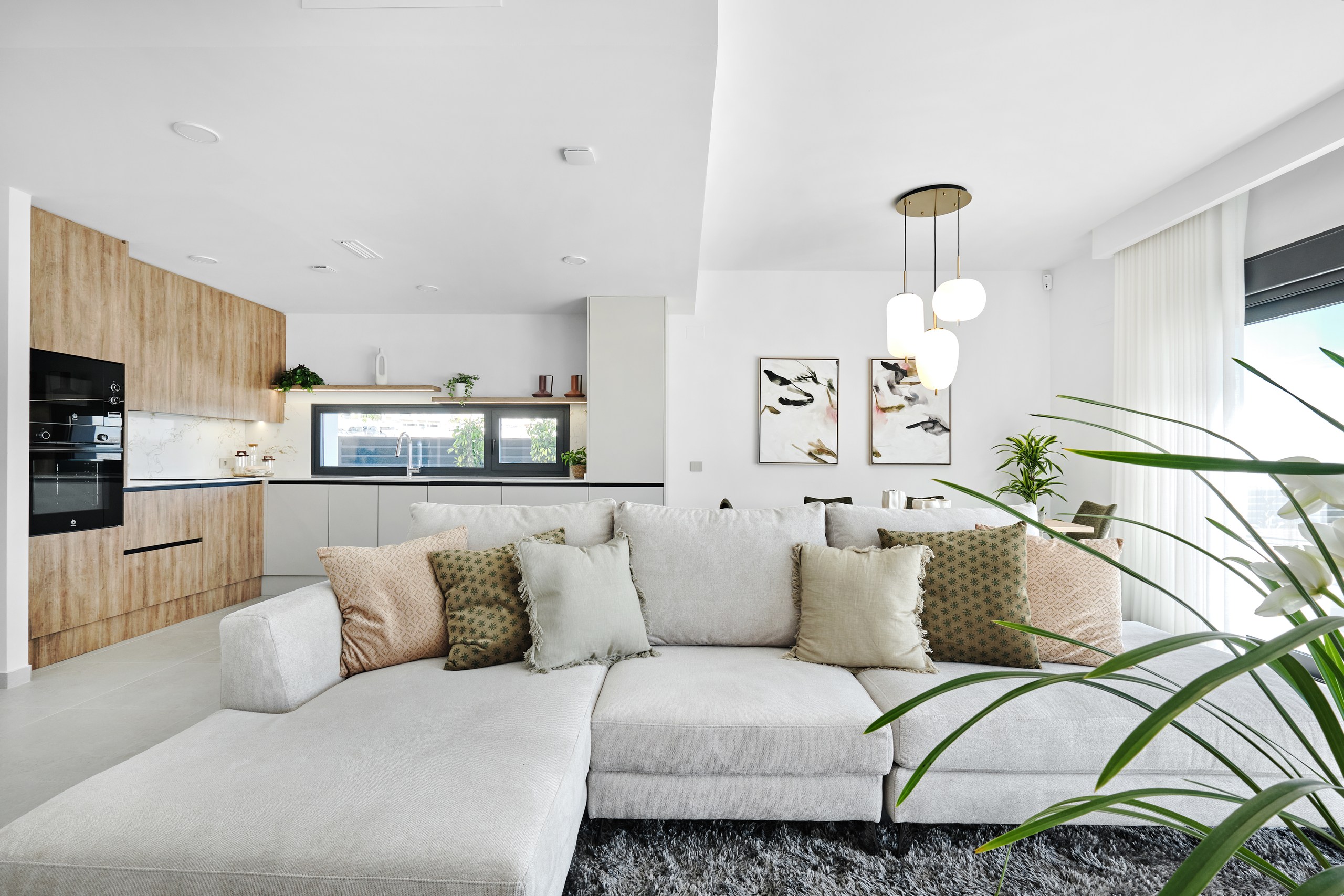 Casas o chalets-Venta-San Miguel de Salinas-2112305-Foto-22