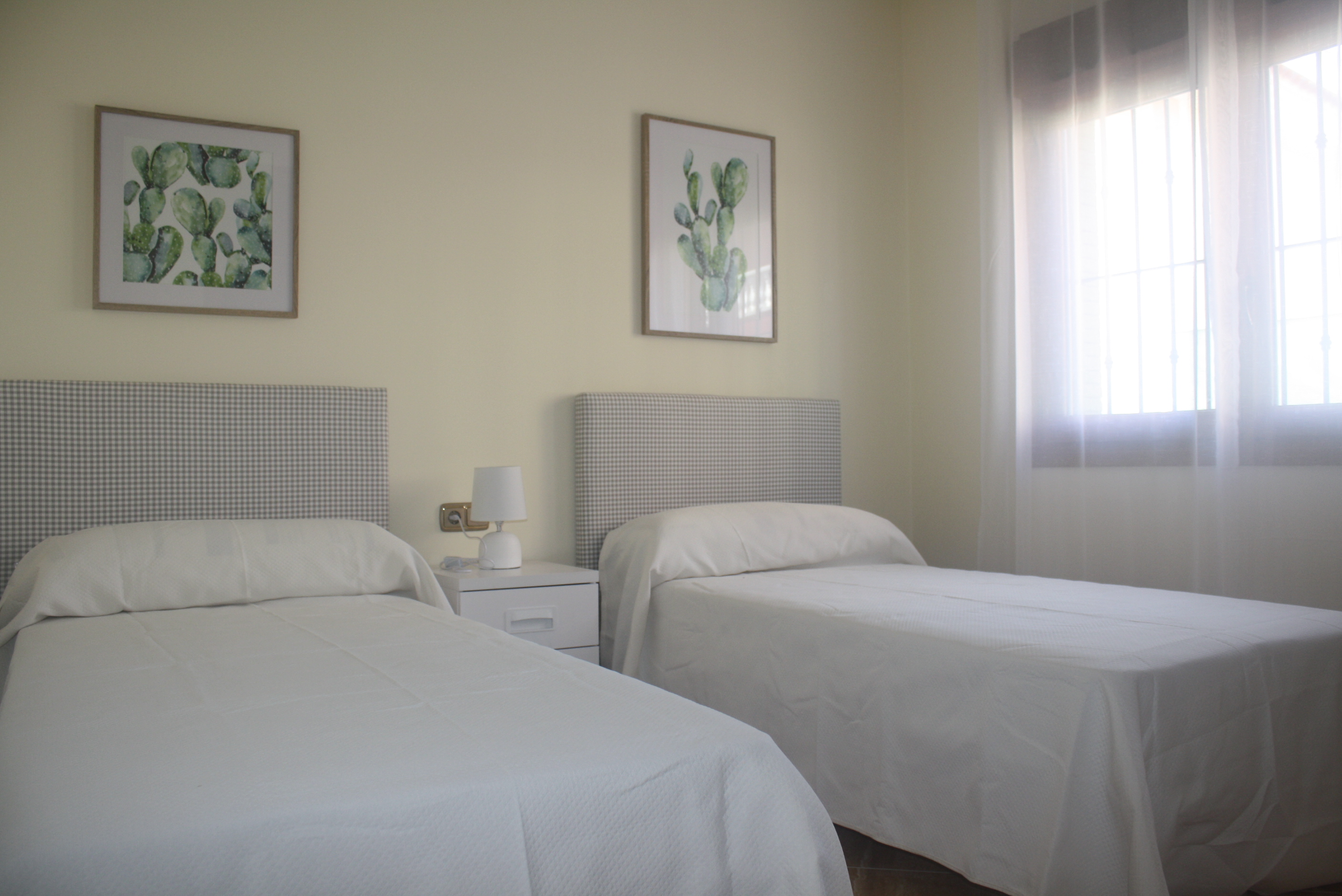 Casas o chalets-Venta-Torrevieja-2112317-Foto-6